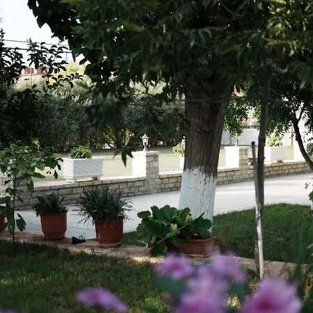 Gardenia סרנדה
