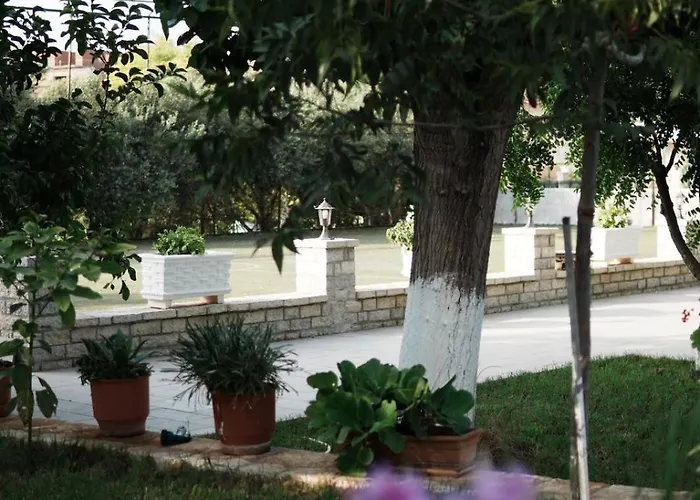 Gardenia Saranda